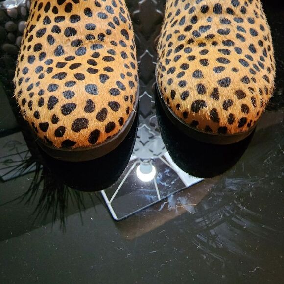 Sole Society 'Abbott' Genuine Calf Hair Bootie - Picture 5 of 15